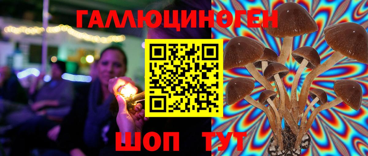 Псилоцибиновые грибы Magic Shrooms  Вход с VPN  Галлюциногенные грибы Magic Shrooms  Мичуринск 