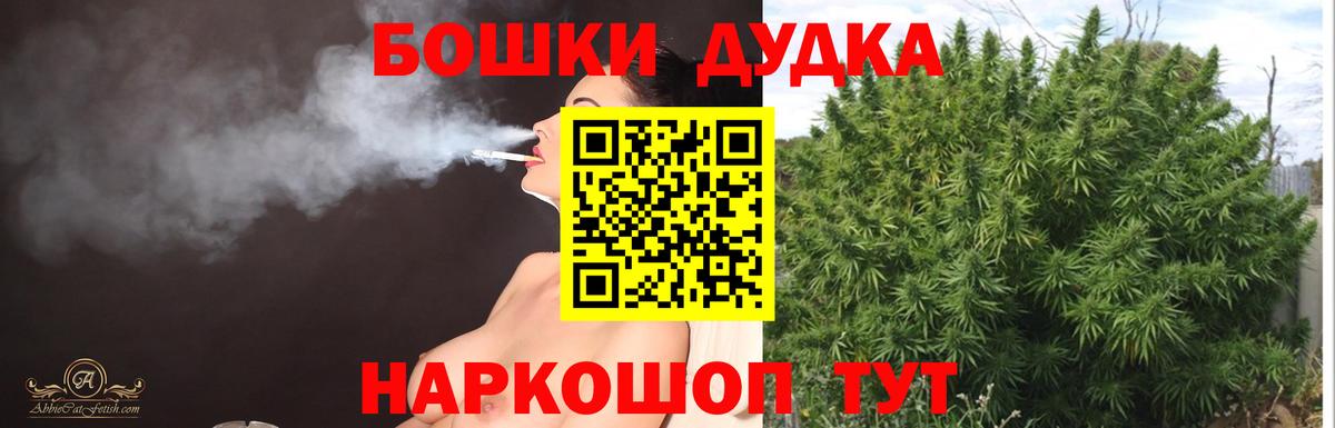 Бошки Шишки планчик Мичуринск